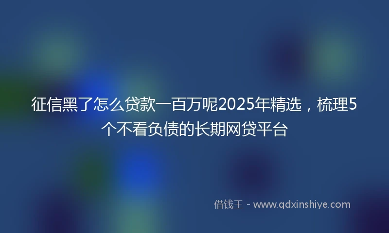 征信黑了怎么贷款一百万呢2025年精选，梳理5个不看负债的长期网贷平台