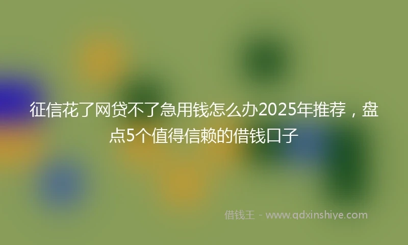 征信花了网贷不了急用钱怎么办2025年推荐，盘点5个值得信赖的借钱口子