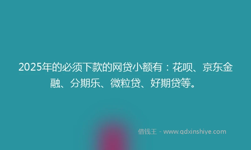 2025年的必须下款的网贷小额有：花呗、京东金融、分期乐、微粒贷、好期贷等。