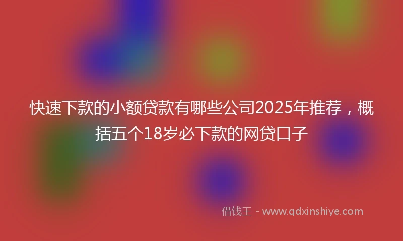 快速下款的小额贷款有哪些公司2025年推荐，概括五个18岁必下款的网贷口子