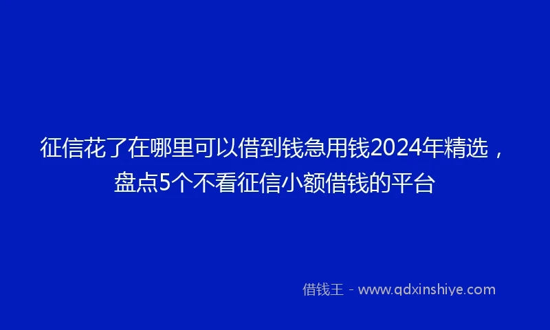 征信花了在哪里可以借到钱急用钱2024年精选，盘点5个不看征信小额借钱的平台