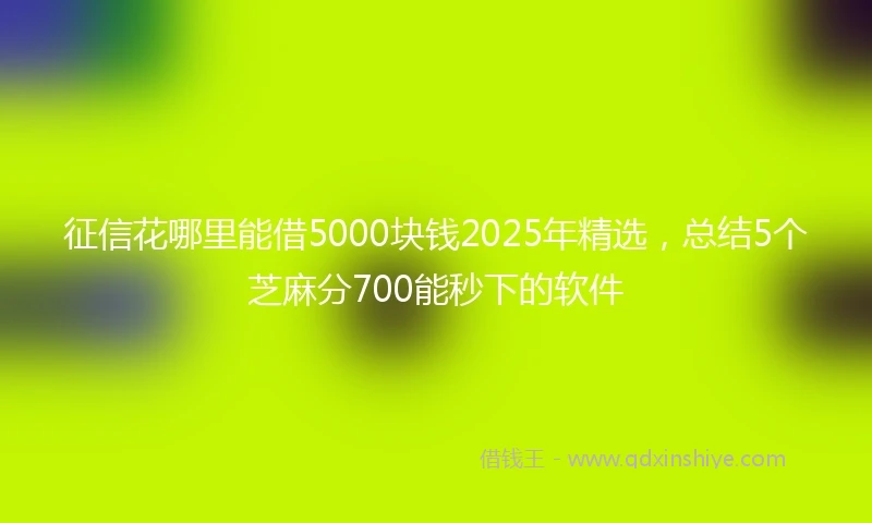 征信花哪里能借5000块钱2025年精选，总结5个芝麻分700能秒下的软件