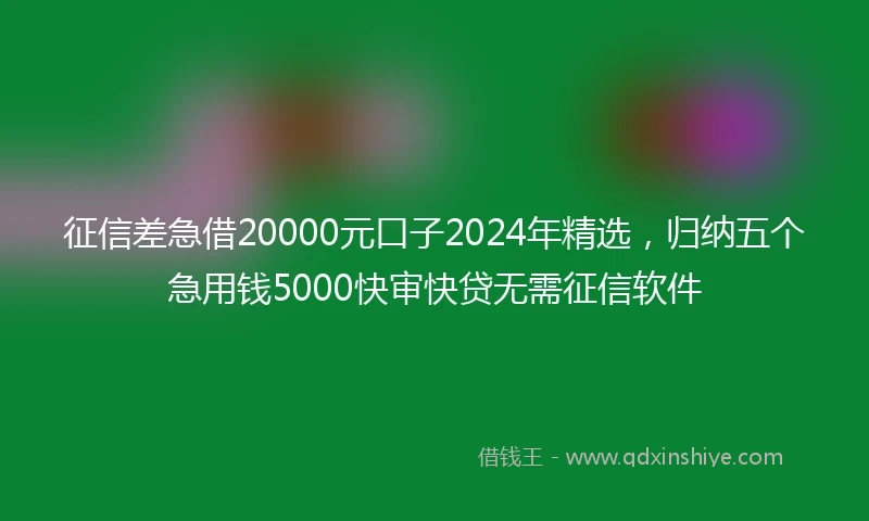 征信差急借20000元口子2024年精选，归纳五个急用钱5000快审快贷无需征信软件