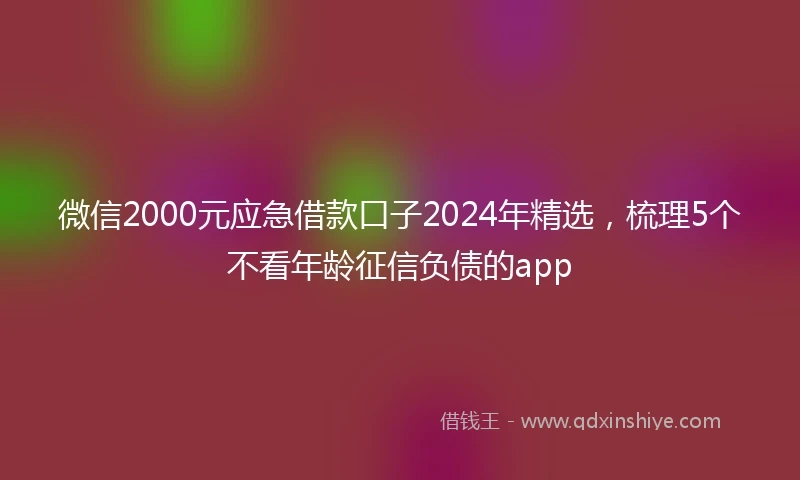 微信2000元应急借款口子2024年精选，梳理5个不看年龄征信负债的app