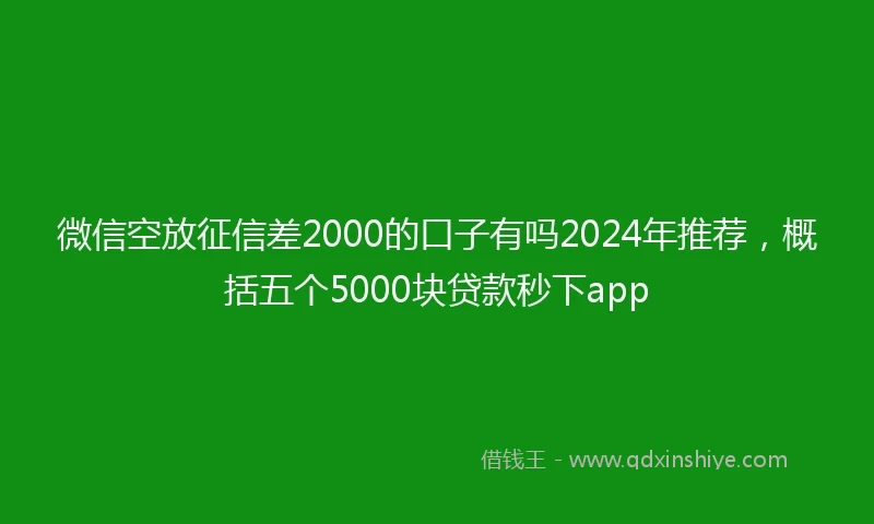 微信空放征信差2000的口子有吗2024年推荐,概括五个5000块贷款秒下app