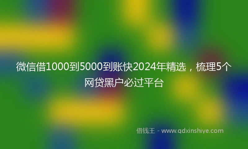 微信借1000到5000到账快2024年精选，梳理5个网贷黑户必过平台
