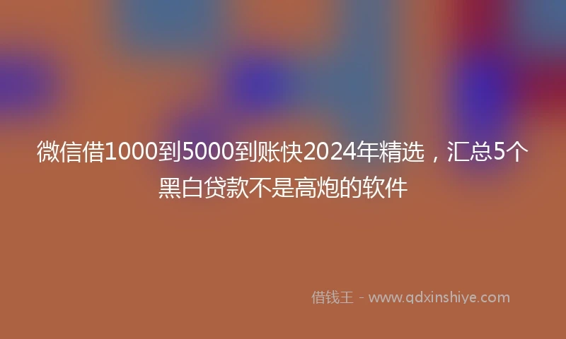 微信借1000到5000到账快2024年精选，汇总5个黑白贷款不是高炮的软件