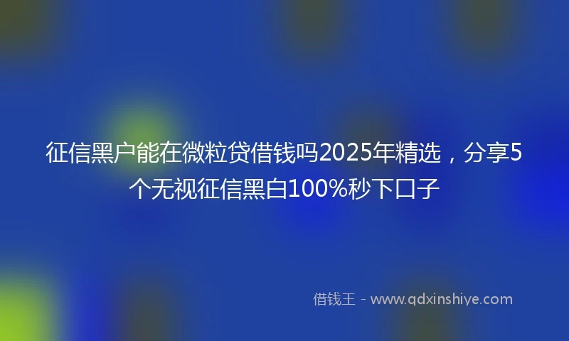 征信黑户能在微粒贷借钱吗2025年精选，分享5个无视征信黑白100%秒下口子