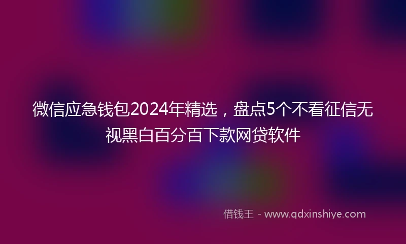 微信应急钱包2024年精选，盘点5个不看征信无视黑白百分百下款网贷软件