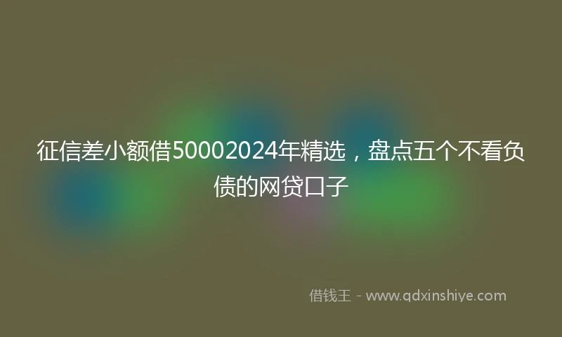 征信差小额借50002024年精选，盘点五个不看负债的网贷口子