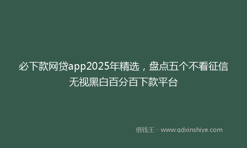 必下款网贷app2025年精选，盘点五个不看征信无视黑白百分百下款平台