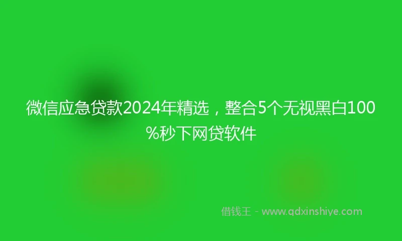 微信应急贷款2024年精选，整合5个无视黑白100%秒下网贷软件