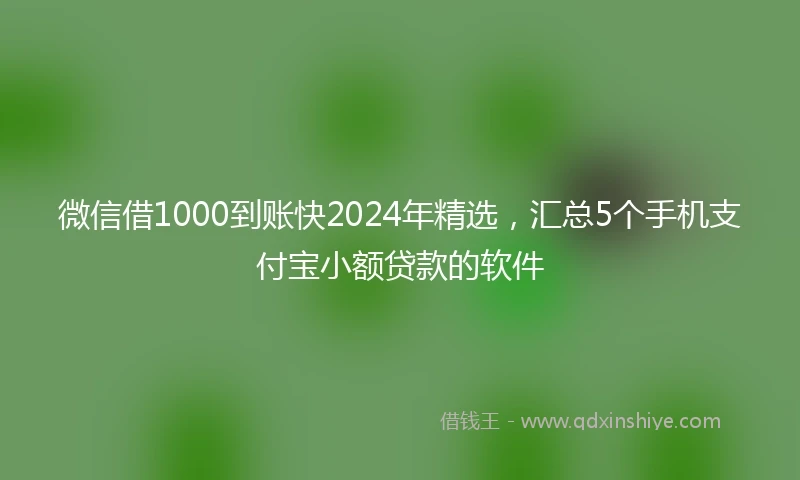 微信借1000到账快2024年精选，汇总5个手机支付宝小额贷款的软件
