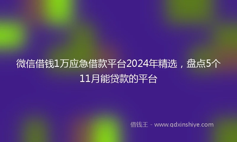 微信借钱1万应急借款平台2024年精选，盘点5个11月能贷款的平台