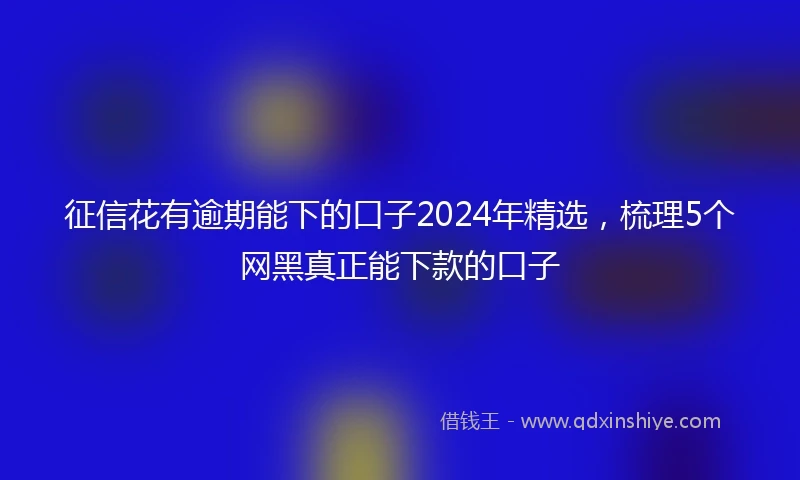 征信花有逾期能下的口子2024年精选，梳理5个网黑真正能下款的口子