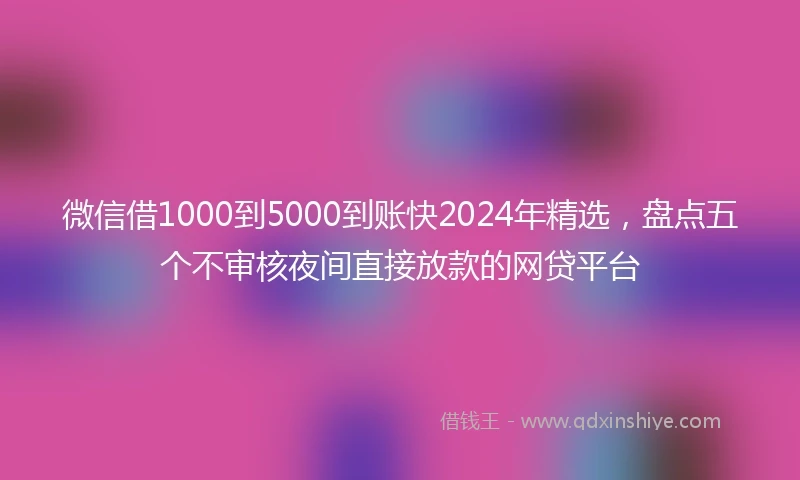 微信借1000到5000到账快2024年精选，盘点五个不审核夜间直接放款的网贷平台