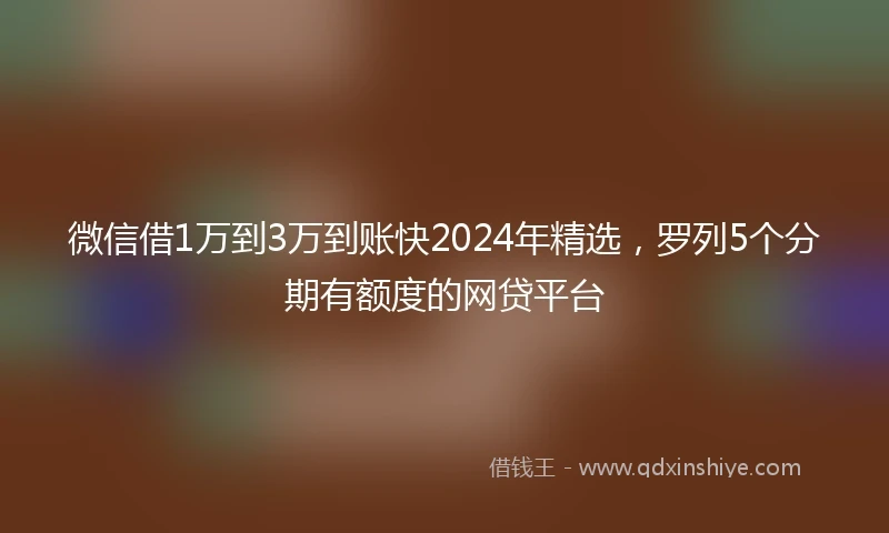 微信借1万到3万到账快2024年精选，罗列5个分期有额度的网贷平台