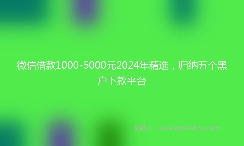 微信借款1000-5000元2024年精选，归纳五个黑户下款平台