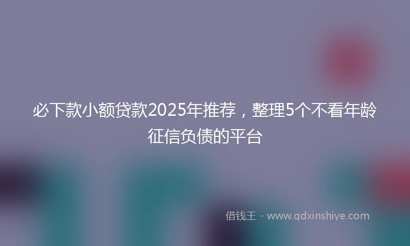 必下款小额贷款2025年推荐，整理5个不看年龄征信负债的平台
