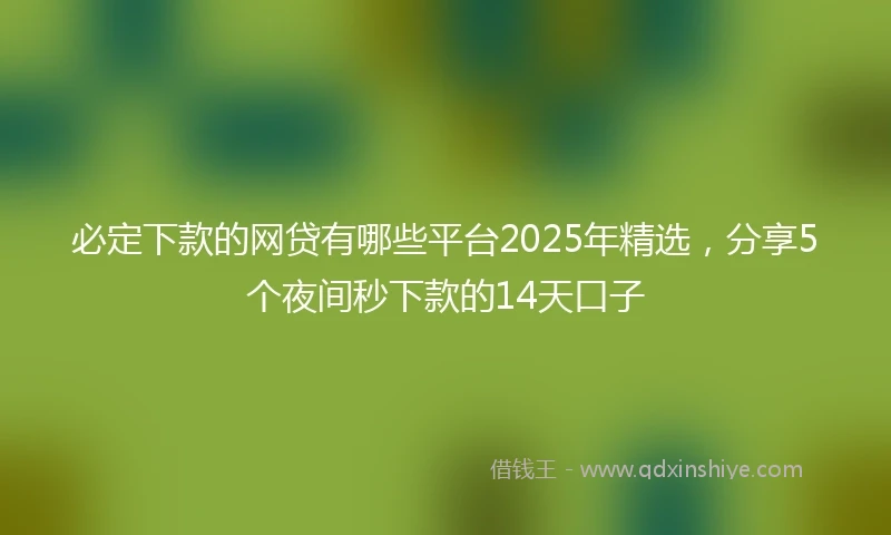必定下款的网贷有哪些平台2025年精选,分享5个夜间秒下款的14天口子
