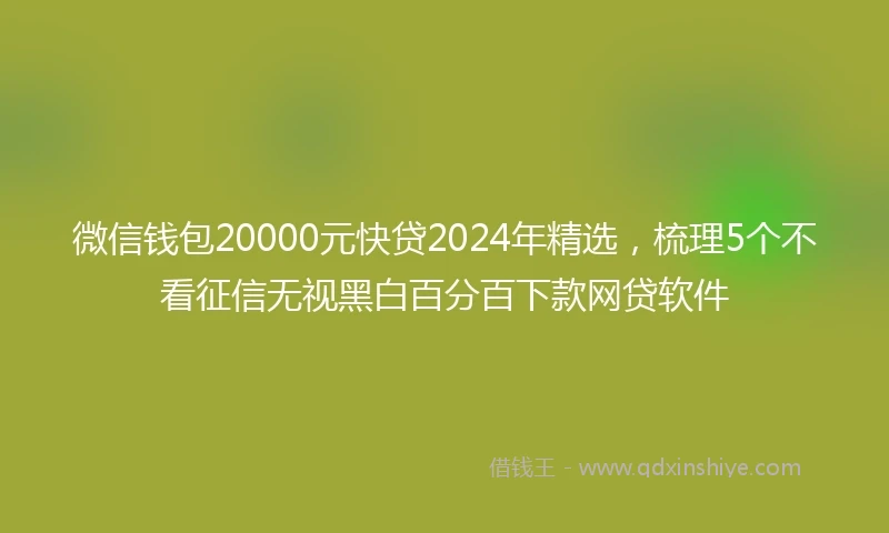 微信钱包20000元快贷2024年精选，梳理5个不看征信无视黑白百分百下款网贷软件