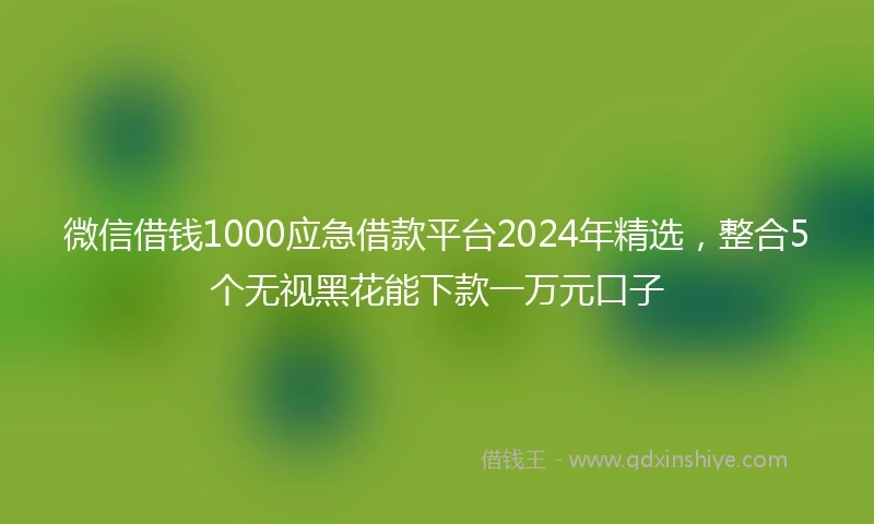 微信借钱1000应急借款平台2024年精选，整合5个无视黑花能下款一万元口子