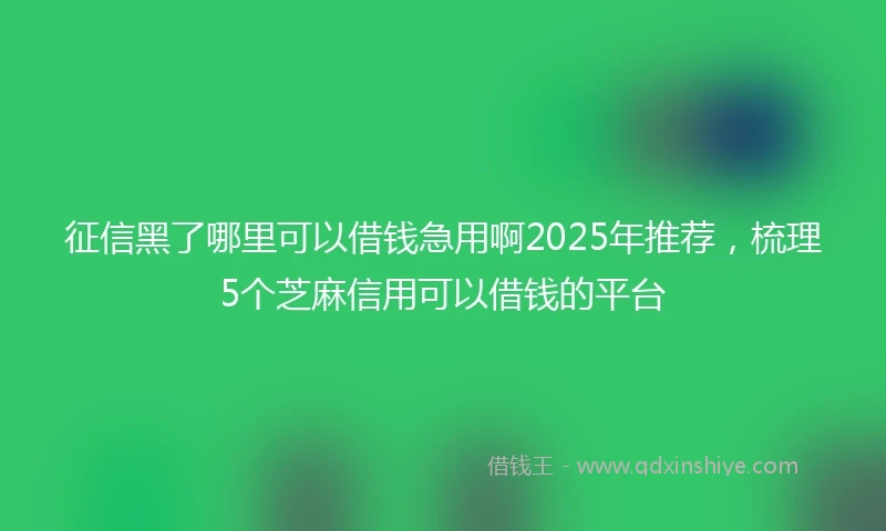 征信黑了哪里可以借钱急用啊2025年推荐，梳理5个芝麻信用可以借钱的平台
