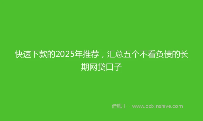 快速下款的2025年推荐，汇总五个不看负债的长期网贷口子