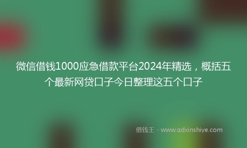 微信借钱1000应急借款平台2024年精选，概括五个最新网贷口子今日整理这五个口子
