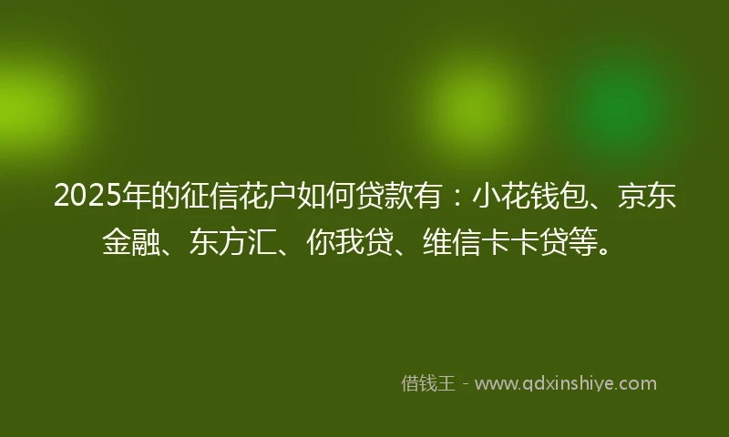 2025年的征信花户如何贷款有：小花钱包、京东金融、东方汇、你我贷、维信卡卡贷等。