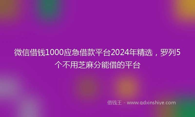 微信借钱1000应急借款平台2024年精选，罗列5个不用芝麻分能借的平台