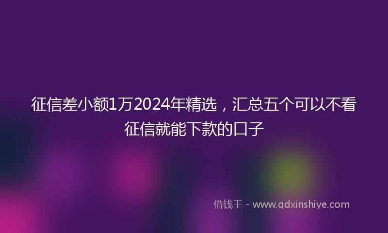 征信差小额1万2024年精选，汇总五个可以不看征信就能下款的口子