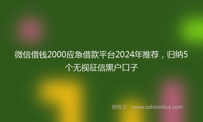 微信借钱2000应急借款平台2024年推荐，归纳5个无视征信黑户口子