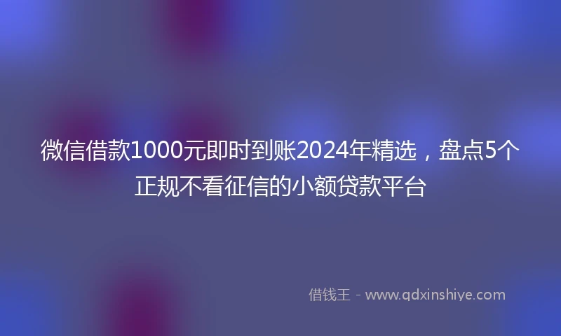 微信借款1000元即时到账2024年精选，盘点5个正规不看征信的小额贷款平台