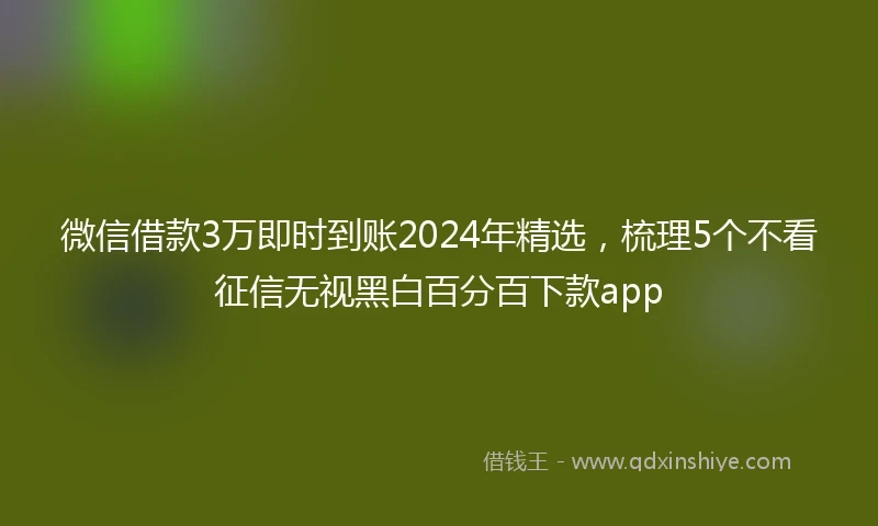 微信借款3万即时到账2024年精选，梳理5个不看征信无视黑白百分百下款app