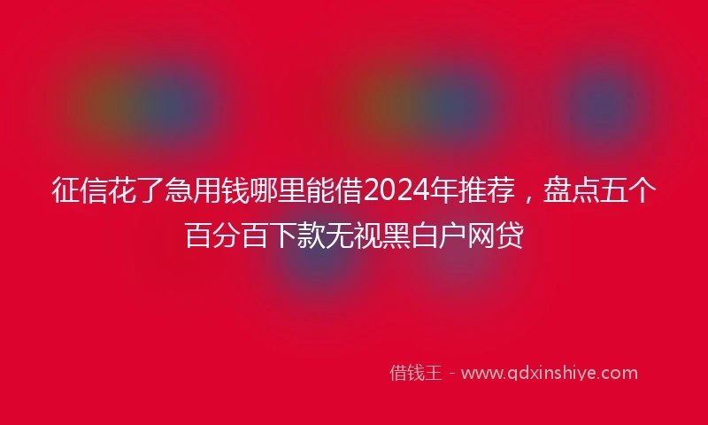 征信花了急用钱哪里能借2024年推荐，盘点五个百分百下款无视黑白户网贷