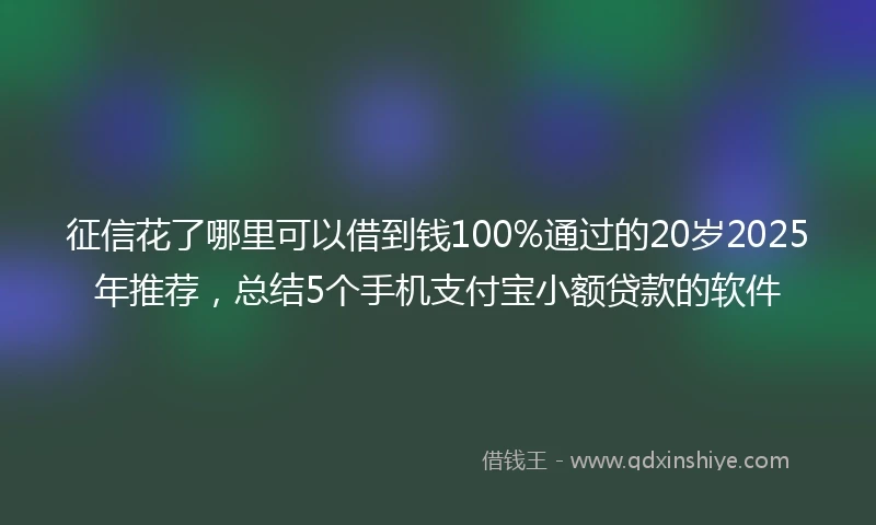 征信花了哪里可以借到钱100%通过的20岁2025年推荐，总结5个手机支付宝小额贷款的软件