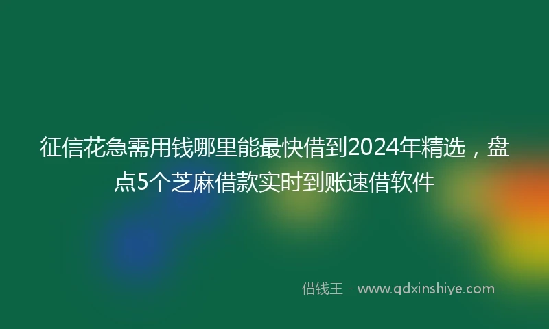 征信花急需用钱哪里能最快借到2024年精选，盘点5个芝麻借款实时到账速借软件