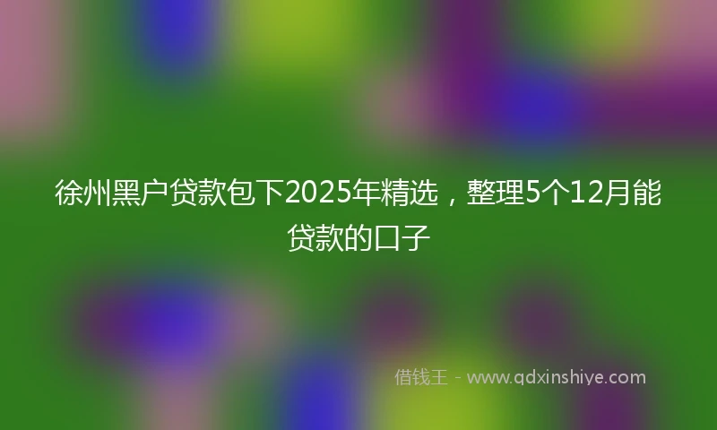 徐州黑户贷款包下2025年精选，整理5个12月能贷款的口子