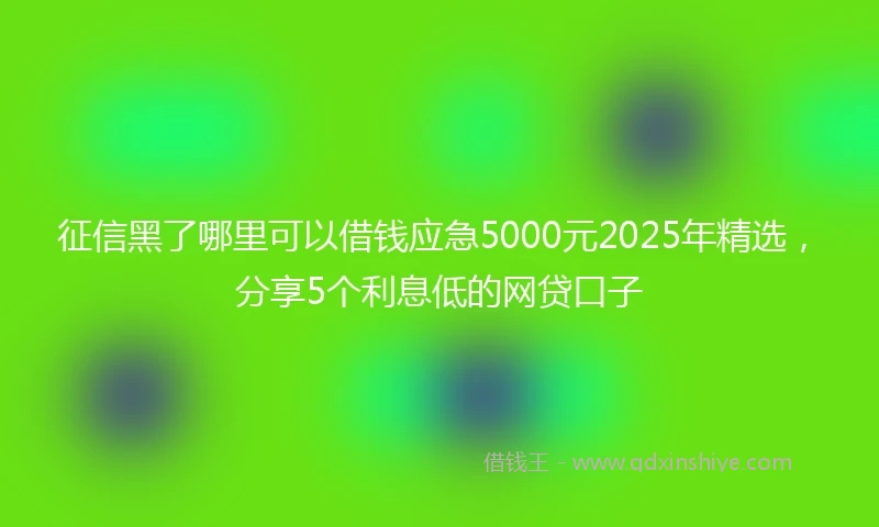 征信黑了哪里可以借钱应急5000元2025年精选，分享5个利息低的网贷口子
