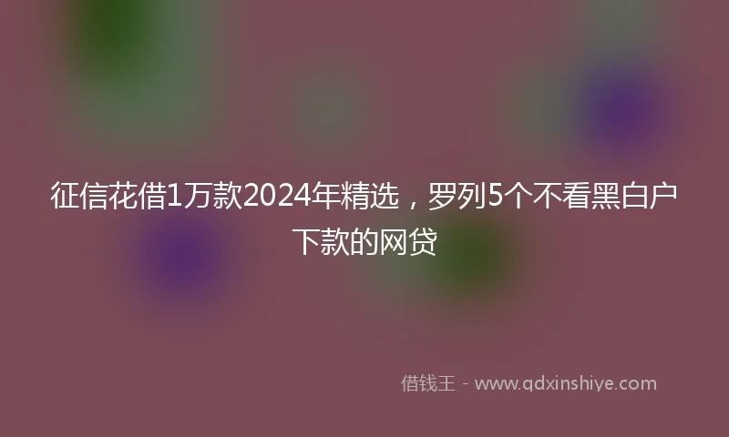 征信花借1万款2024年精选，罗列5个不看黑白户下款的网贷