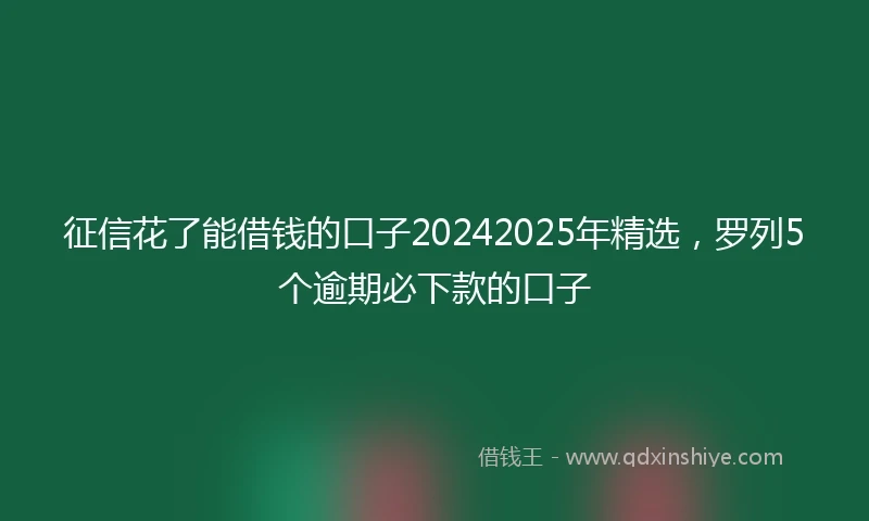 征信花了能借钱的口子20242025年精选，罗列5个逾期必下款的口子