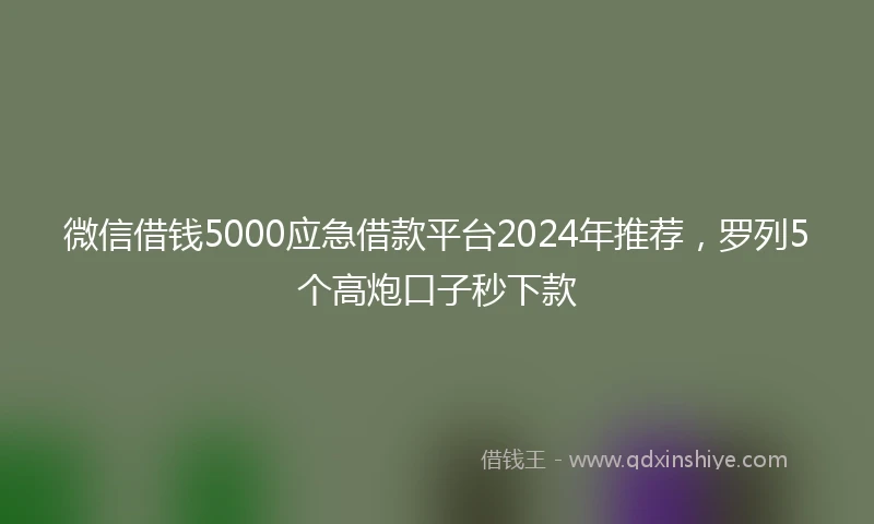 微信借钱5000应急借款平台2024年推荐，罗列5个高炮口子秒下款