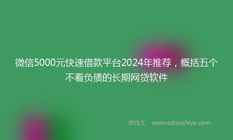 微信5000元快速借款平台2024年推荐,概括五个不看负债的长期网贷软件