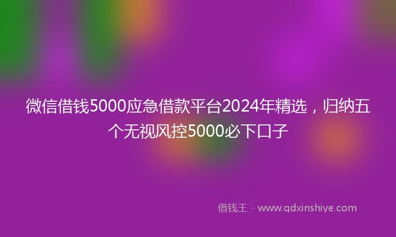 微信借钱5000应急借款平台2024年精选，归纳五个无视风控5000必下口子