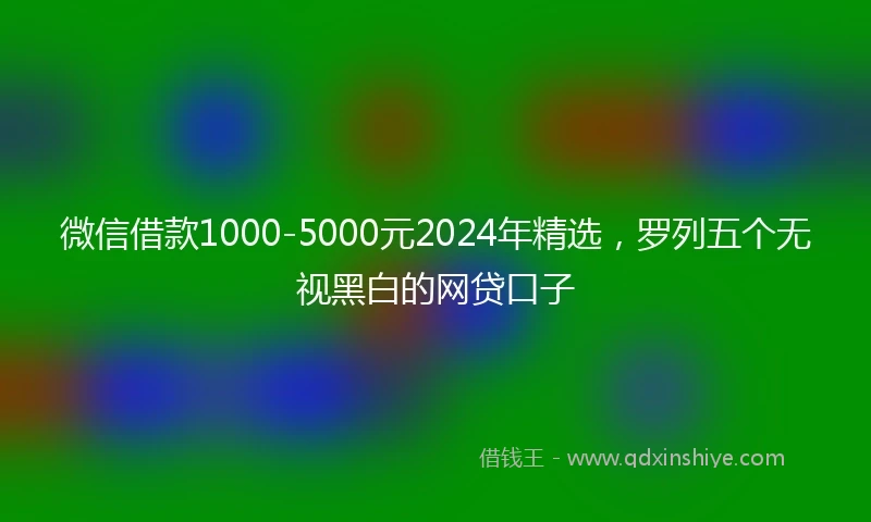 微信借款1000-5000元2024年精选，罗列五个无视黑白的网贷口子