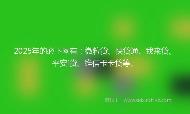 2025年的必下网有：微粒贷、快贷通、我来贷、平安i贷、维信卡卡贷等。
