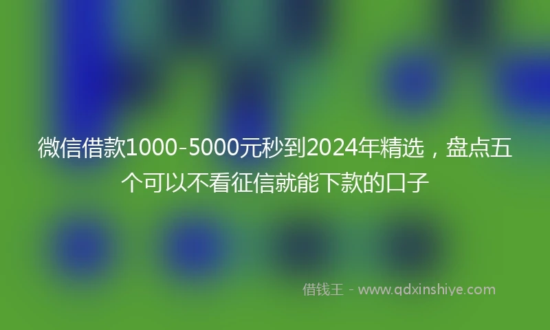 微信借款1000-5000元秒到2024年精选，盘点五个可以不看征信就能下款的口子
