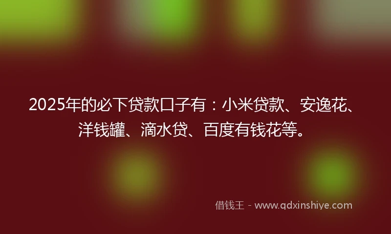 2025年的必下贷款口子有：小米贷款、安逸花、洋钱罐、滴水贷、百度有钱花等。