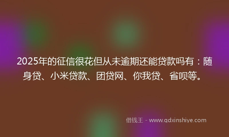2025年的征信很花但从未逾期还能贷款吗有：随身贷、小米贷款、团贷网、你我贷、省呗等。